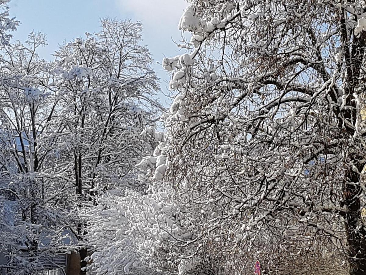 Stas-Przy Szkole Nr3 W Skawie Skawa Eksteriør billede